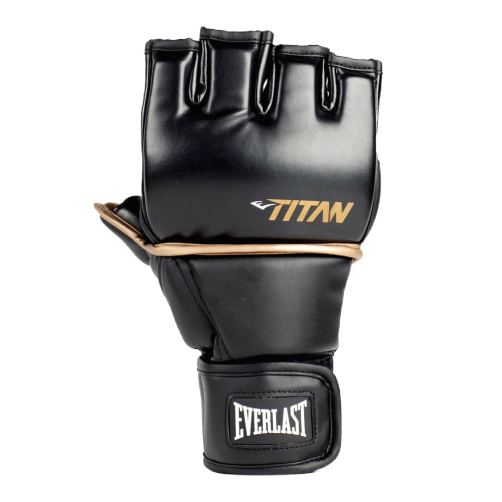 Everlast | Titan Grappling Glove (Black/Gold)