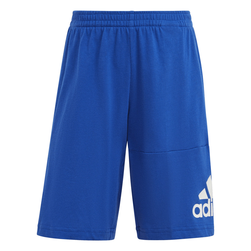 Adidas | Kids Essentials Logo Tee And Short Set (Grey Heather/Semi Lucid Blue)